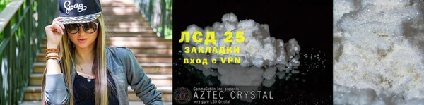 ПСИЛОЦИБИНОВЫЕ ГРИБЫ Касимов