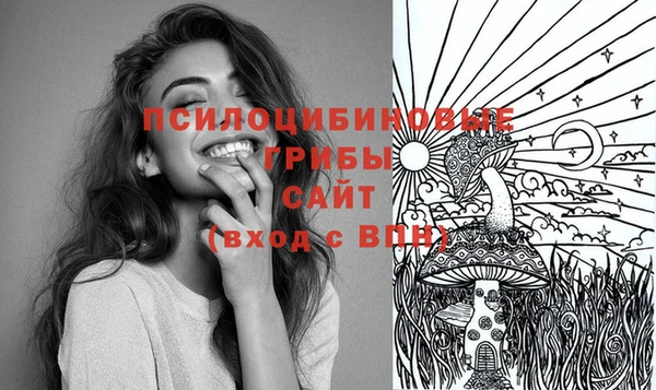 ПСИЛОЦИБИНОВЫЕ ГРИБЫ Касимов