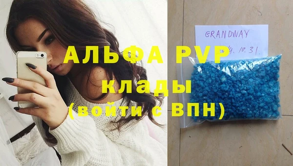 ПСИЛОЦИБИНОВЫЕ ГРИБЫ Касимов