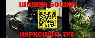 стаф Моздок
