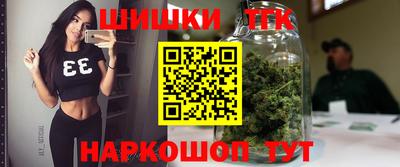 стаф Моздок