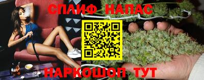 стаф Моздок