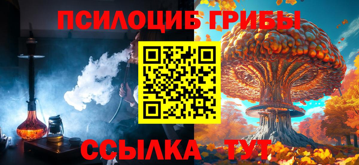 Галлюциногенные грибы мицелий Евпатория