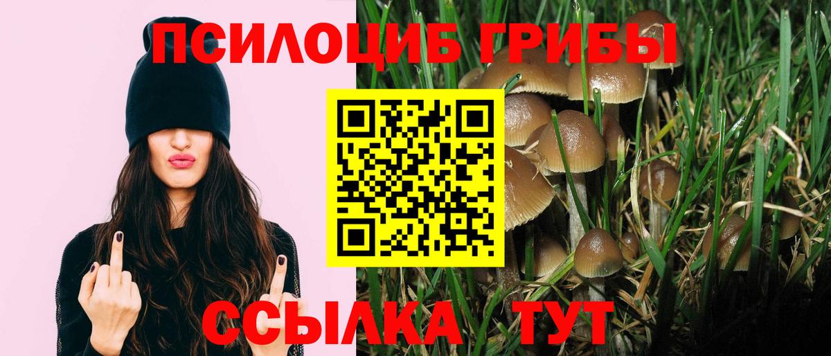 Псилоцибиновые грибы мицелий  Галлюциногенные грибы прущие грибы  Вход с VPN  Евпатория 